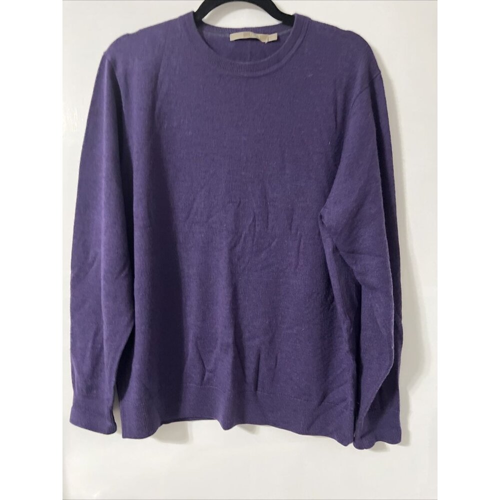 Raffi Men's Large 100% Extrafine Merino Wool Pullover Sweater Purple Preppy‎
